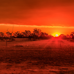 Lightning Ridge